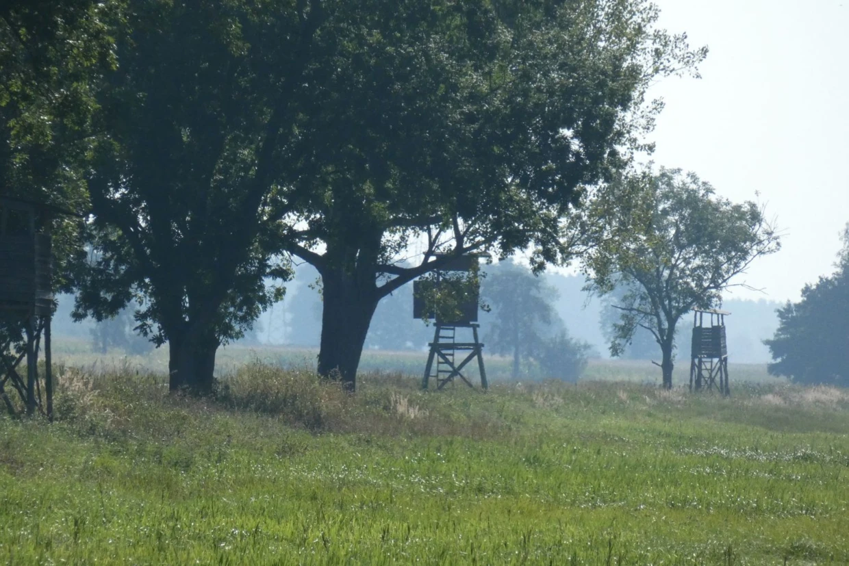 Ambony w pobliżu Dębskiej Kuźni. Fot. Kazimierz Ożóg