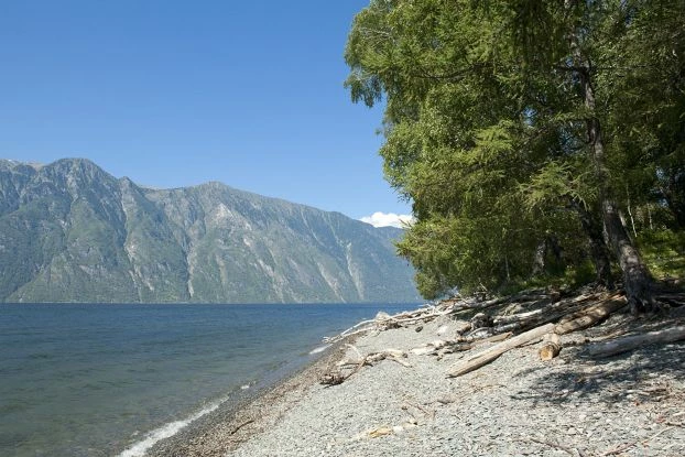 Zbiorowiska stepowe występują na wschodnim brzegu Jeziora Teleckiego w Ałtajskim Zapowiedniku. Fot. Natalia Sudets