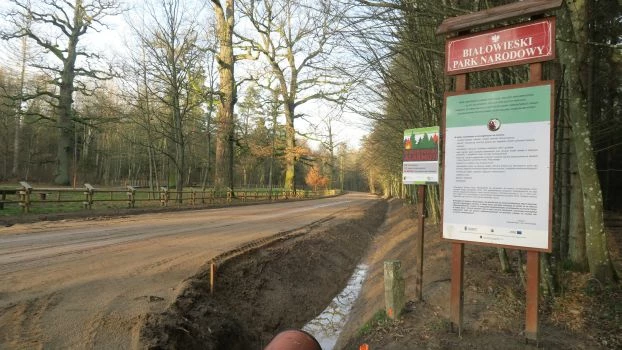 
Wyremontowania Droga Narewkowska tuż przy granicy Białowieskiego Parku Narodowego. Od 1 lipca miało się rozpocząć jej asfaltowanie, prace jednak wstrzymano. Fot. Nuria Selva
