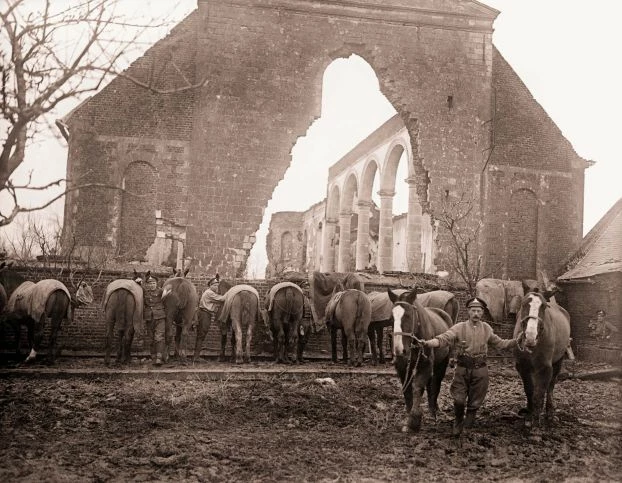 
Konie zakwaterowane pod gołym niebem, armia brytyjska, 1918. Klisza IMW, nr katalogowy Q8446
