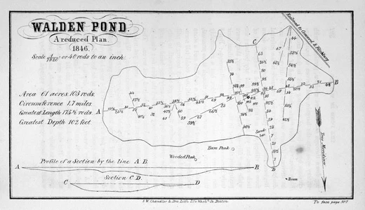 Mapa stawu Walden, z kolekcji Concord Muzeum. Fot. David  Bohl