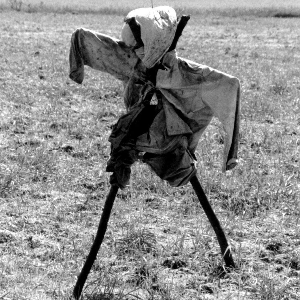 To o kolejne zdjęcia autorstwa Janusza Korbela