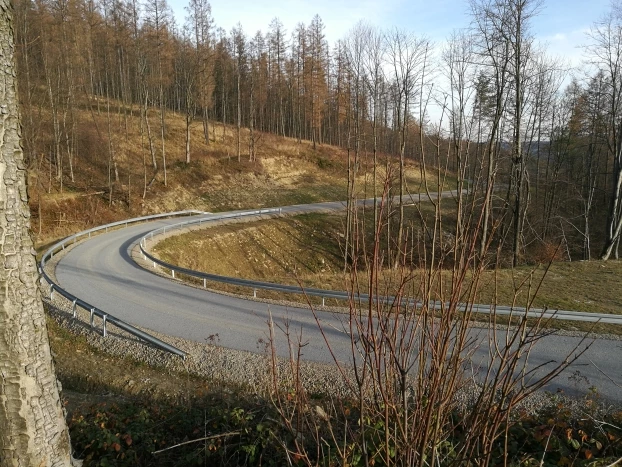 Karpaty to wiele nowych dróg do zwózki wyciętych drzew, jest ich całe mnóstwo. Widok z czerwonego szlaku na nową drogę leśną, której jeszcze dwa lata temu nie było w tym miejscu. Dwieście metrów poniżej znajduje się pola namiotowe SKPB Rzeszów w Wisłoczku. Fot. Grzegorz Bożek