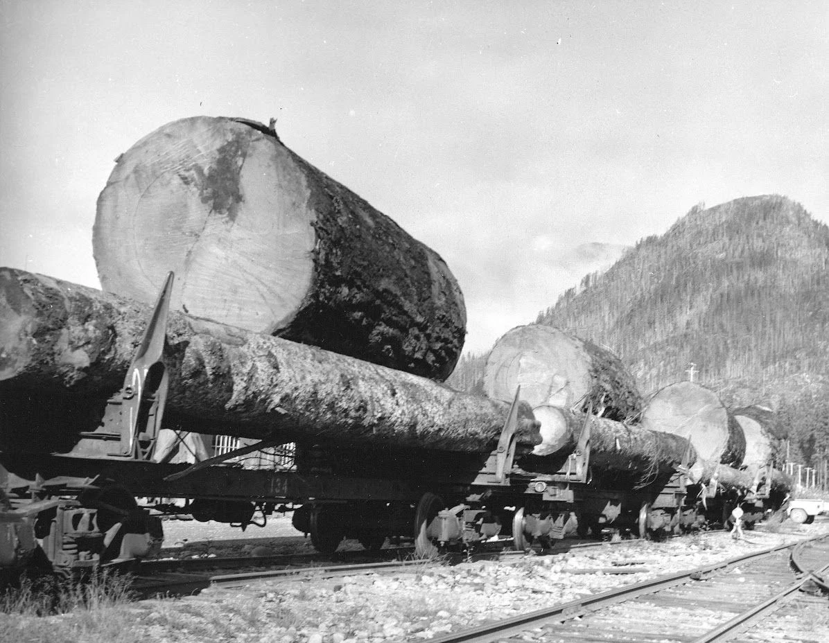 Olbrzymie kłody daglezji zielonej na wagonach stojących na stacji Woss Camp, lata 40. XX wieku. Fot. J. Revel, archiwum miasta Vancouver, searcharchives.vancouver.ca