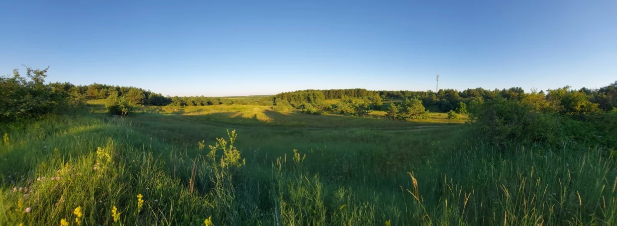 Lisi Kamień, panorama. Fot. Łukasz Misiuna