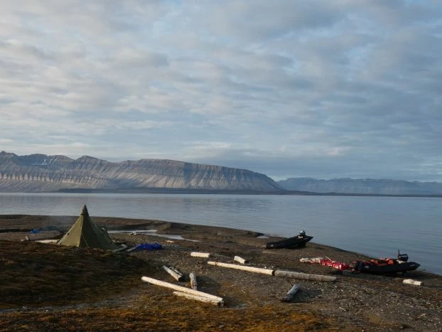 Ciemny, cichy i zielony fiord na Spitsbergenie bez lodu i śniegu, Przyroda ma się świetnie, choć ja wolałem wersję na biało. Fot. Jan Marcin Węsławski