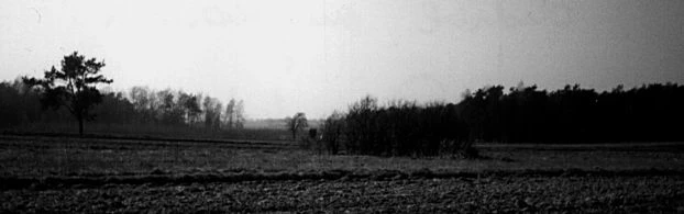 Czerniejowski Obszar Chronionego Krajobrazu, okolice miejscowości Polanówka. Fot. Lucyna Rozwałka