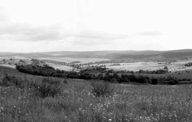 Pogórze Przemyskie. Fot. Karolina Bielenin