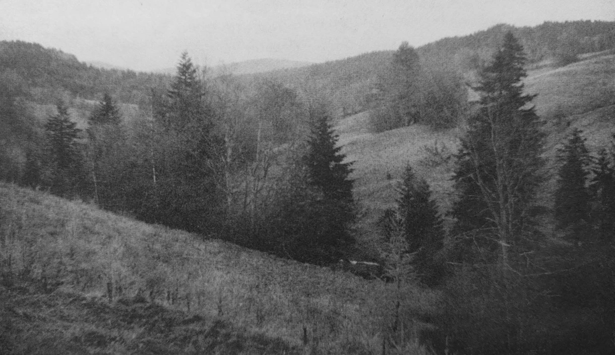 Czy tędy przebiegnie gazociąg? Fot. Janusz Korbel