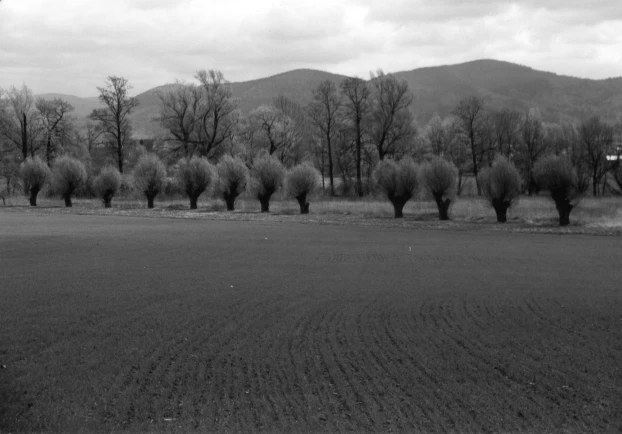 Fot. Joanna Milewska