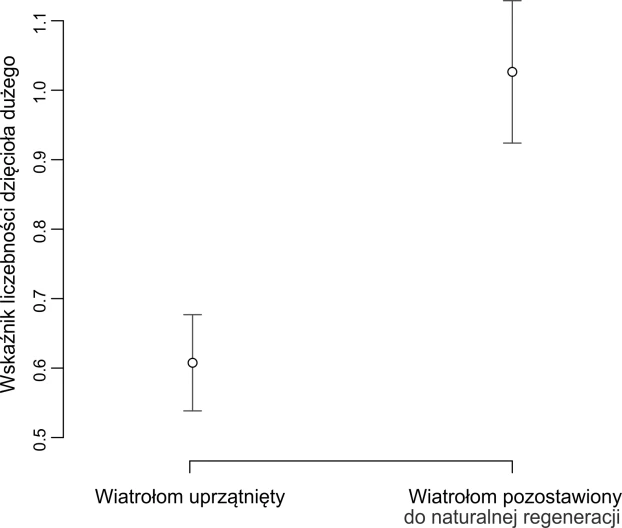Dzięcioły unikają powierzchni wiatrołomu, która została uprzątnięta w ramach gospodarki leśnej – zdecydowanie wolą wiatrołom pozostawiony do naturalnej regeneracji. Wykres wykorzystuje dane z badań w Puszczy Piskiej opisanych w publikacji Żmihorski M. 2010. „The effect of windthrow and its management on breeding bird communities in a managed forest”. Biodiversity and Conservation 19:1871-1.