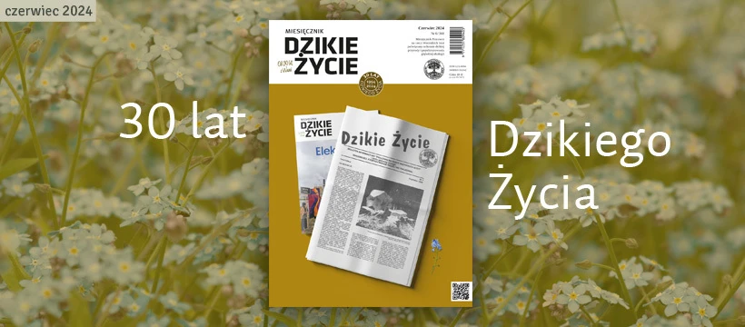 2024-06-facebook_tlo-dz