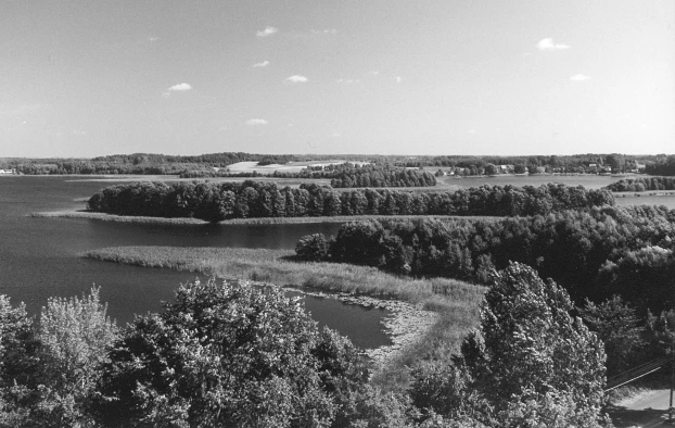 Widok na Jezioro Wigry. Fot. Ryszard Kulik