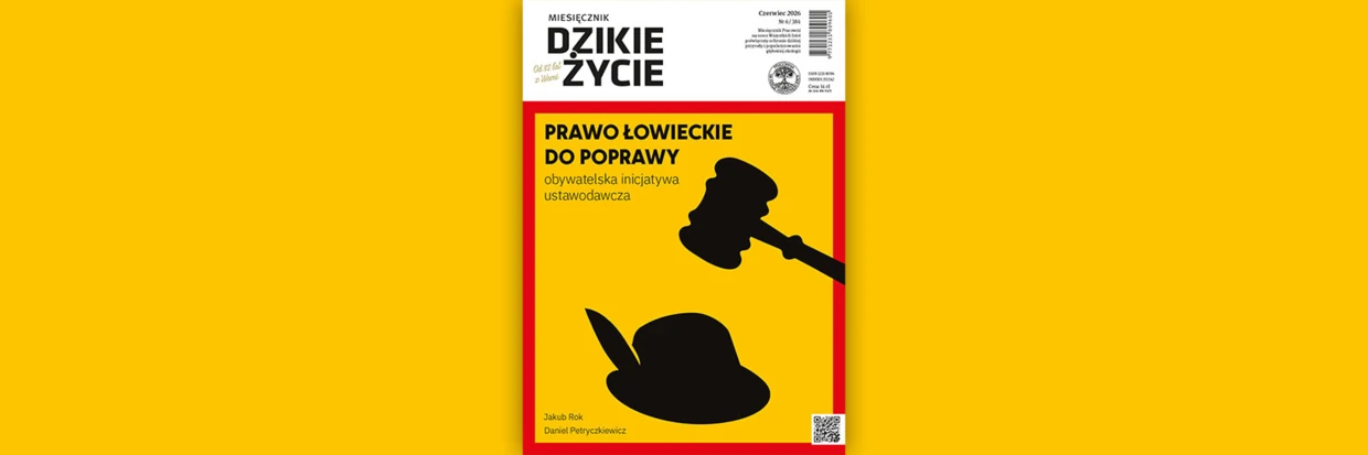 2026-06-twitter-dz_tlo