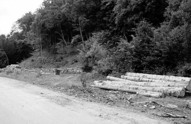 Powszechny obrazek na Pogórzu Przemyskim. Fot. Karolina Bielenin