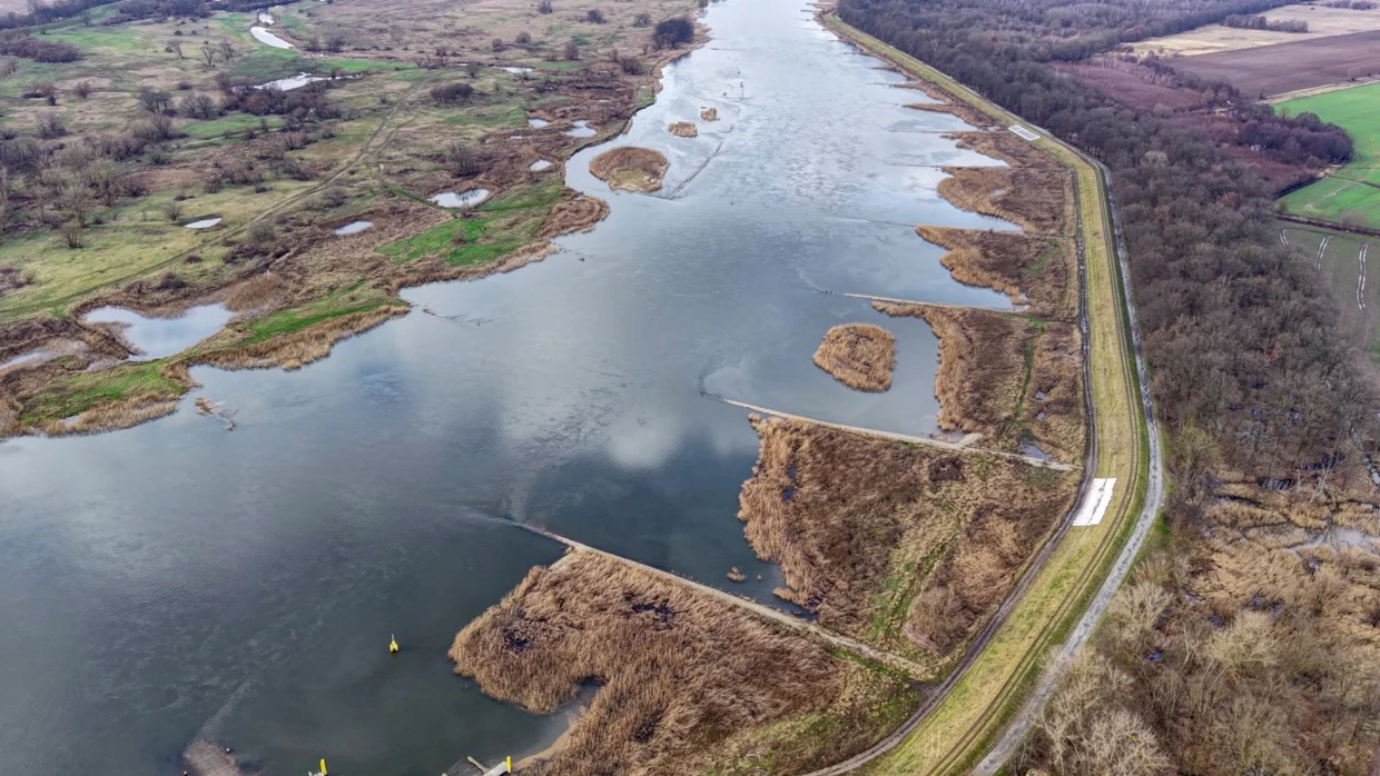 Wybudowane z pożyczki Banku Światowego ostrogi o długości ok. 100 metrów wrzynają się niemal na środek Odry. Dla kontrastu „dziki” brzeg rzeki po stronie niemieckiej. Górzyca, 2 lutego 2025 r. Fot. Fabian Storożak