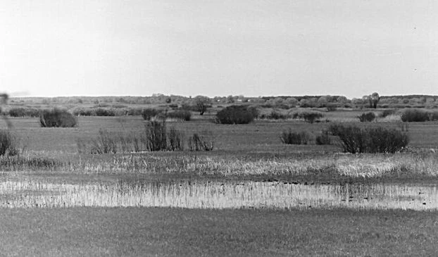 Krajobraz po pożarze w zakazniku. Fot. Andriej Abramčuk