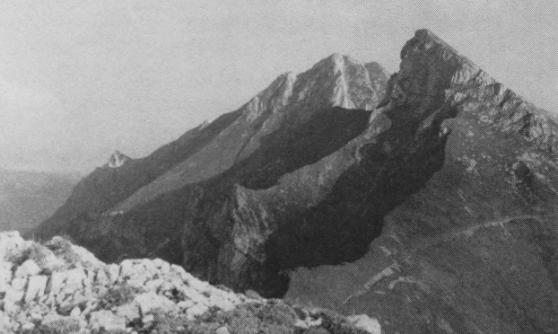 Fot. Tomasz Borucki