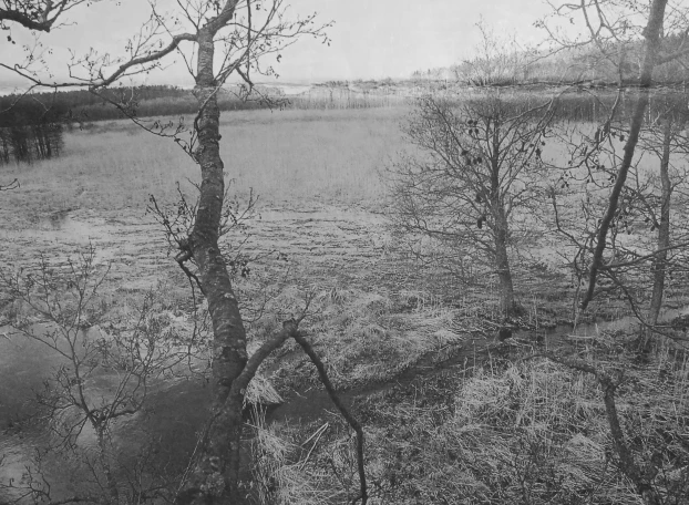 Tędy ma przebiegać droga ekspresowa. Fot. Hanka Skowrońska