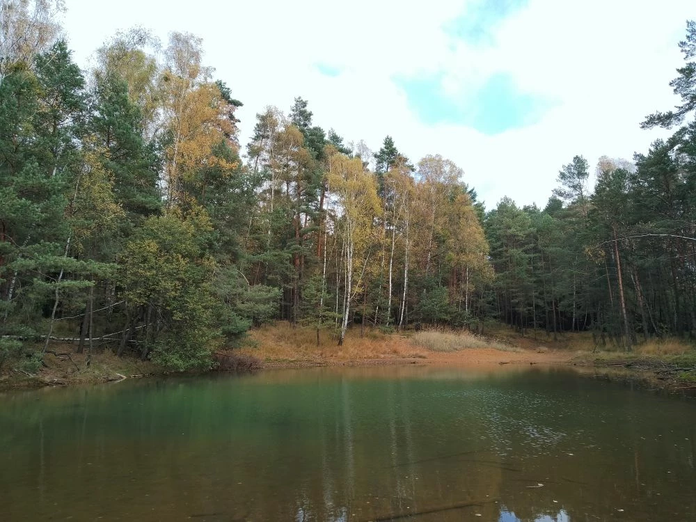 Fotografie zatopionej kopalni Bibiela na terenie Parku Przyrodniczo-Krajobrazowego Pasieki. Fot. Dagmara Stanosz