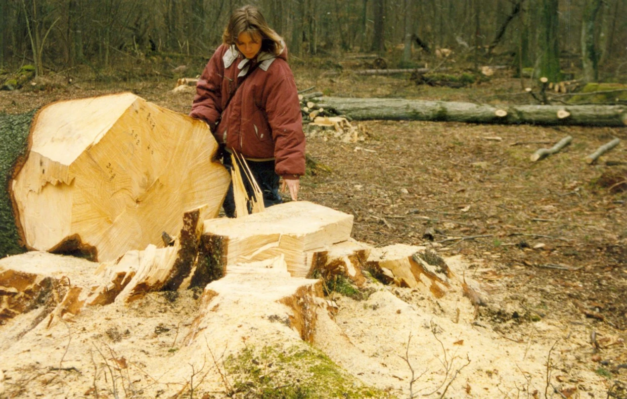 W sercu Puszczy Białowieskiej, kilkadziesiąt metrów od rezerwatu Białowieski Park Narodowy, marzec 1994 rok. To zdjęcie znalazło się na pierwszej stronie pierwszego numeru „Dzikiego Życia”. Fot. Janusz Korbel