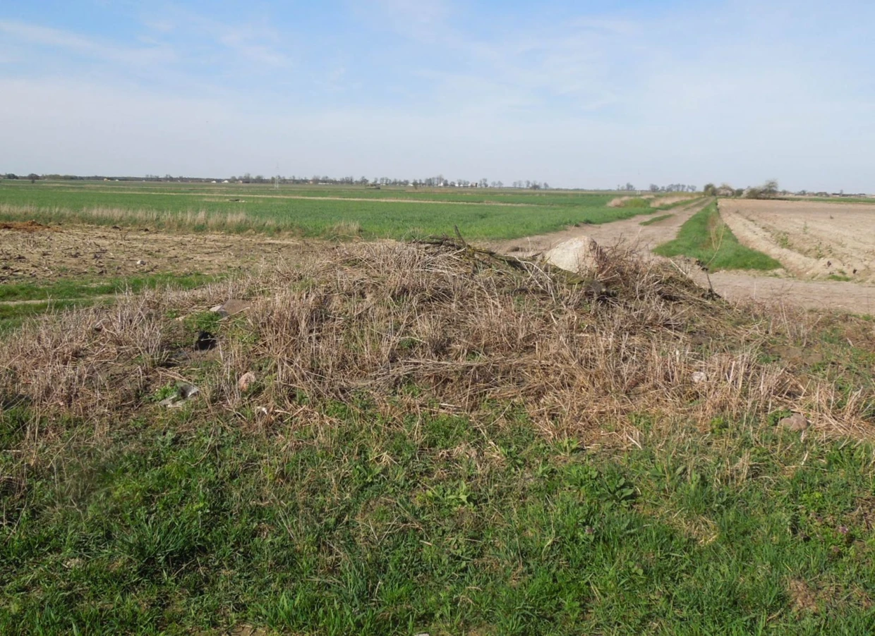 Węgłowy kopiec rozgraniczający łaznowskie (na lewo od drogi), nowińskie (u dołu przed kopcem) i popielawskie (na prawo pole w ostrej skibie) dobra (Dno Wolbórki); zdj. twórca, kwiecień 2024. Fot. Wojciech Wochna