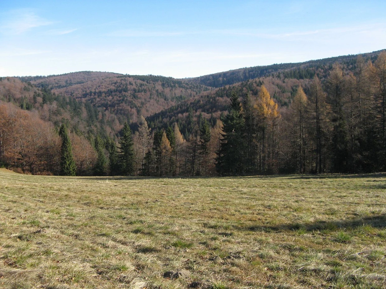 Dolina potoku Szczawnik spod bacówki nad Wierchomlą. Fot. Radosław Truś