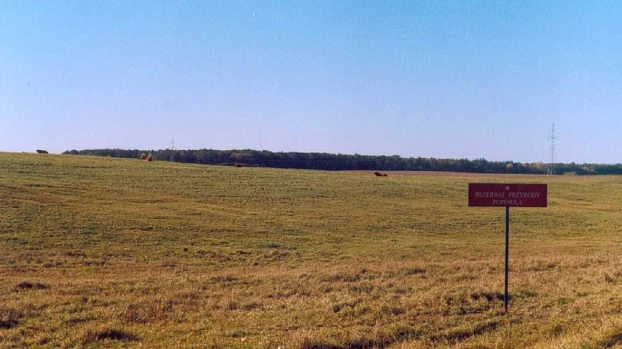 Rezerwat Popówka. Fot. Marcin Nowak