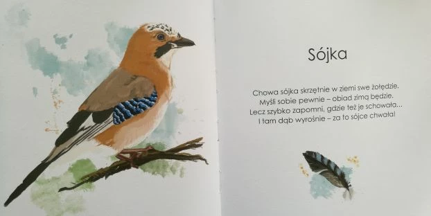 Jedna z fraszek :)