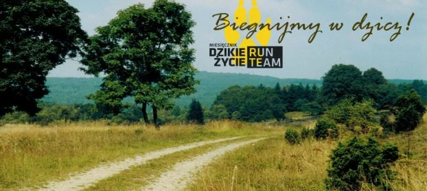 Obrazek znany z fanpage Dzikie Życie RunTeam to właśnie zdjęcie z drogi, którą wiedzie Jaga-Kora, Jasiel, fotografia z roku 1993. Fot. Grzegorz Bożek