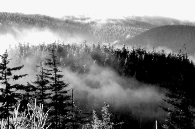 Park Krajobrazowy Sudetów Wałbrzyskich. Fot. Krzysztof Żarkowski