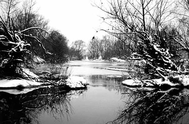 Kępa Bazarowa. Fot. Marcin Suhak