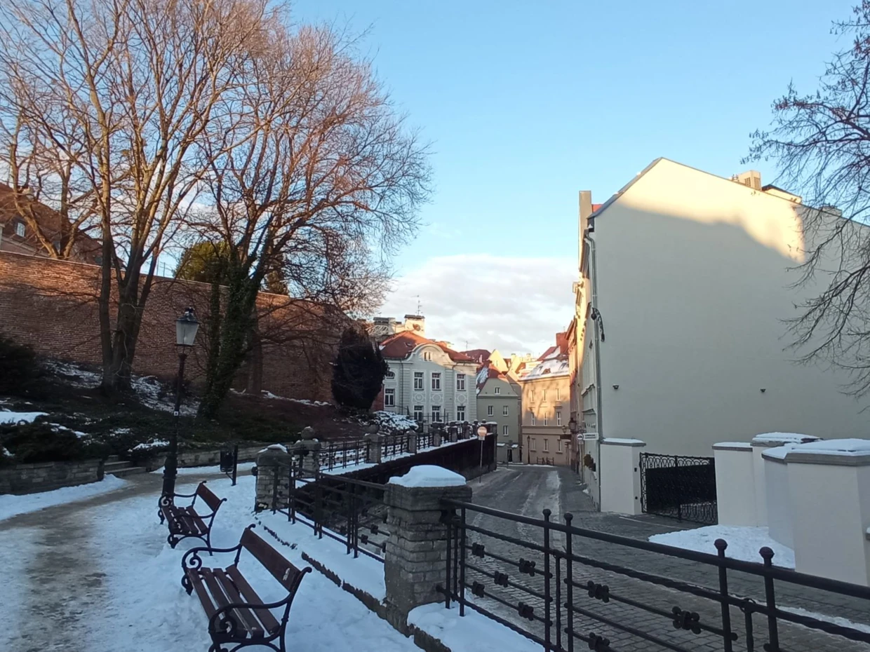 Wzgórze Przemysła w zimowej szacie. Fot. Bartosz Świątek