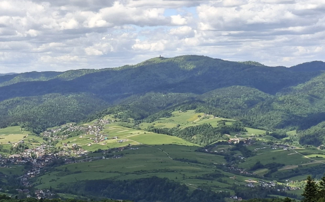 Lubań