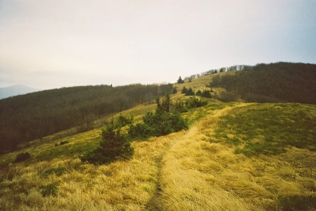 Widok na Małe Jasło. Fot. Grzegorz Bożek