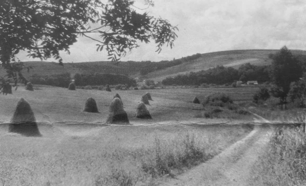 Pogórze Przemyskie. Fot. Krzysztof Mazurkiewicz