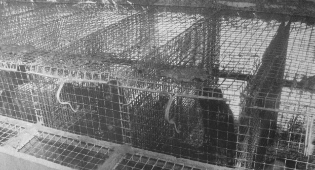 Fot. EF! Wielkopolska