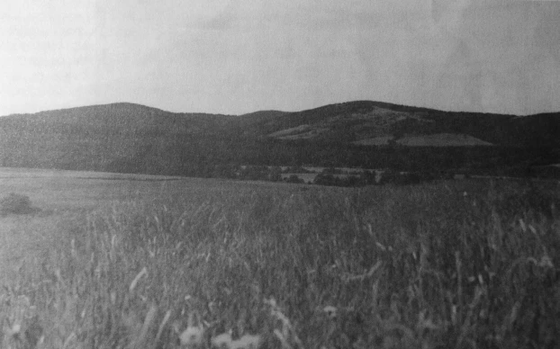 Siedlisko orła przedniego (łowisko plus miejsce gniazdowe) w Beskidzie Niskim. Fot. Marian Stój
