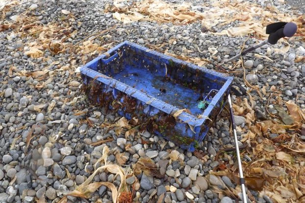 Szkocka skrzynka rybacka obrośnięta różnymi organizmami, wylądowała 1000 km dalej na wybrzeżu Arktyki. Ekologia, to nauka o „przypadkach” nie ma tu niemal żadnych praw czy zasad. Oglądając tę skrzynkę genetyk powie, że przykleiło się do niej ponad 100 OTU, modelarz wyliczy ile takich skrzynek na godzinę ląduje na 1 km wybrzeża, ale zrozumienie co naprawdę dzieje się w tym „przypadku” wymaga biologa terenowego, znającego lokalny ekosystem. Fot. Jan Marcin Węsławski