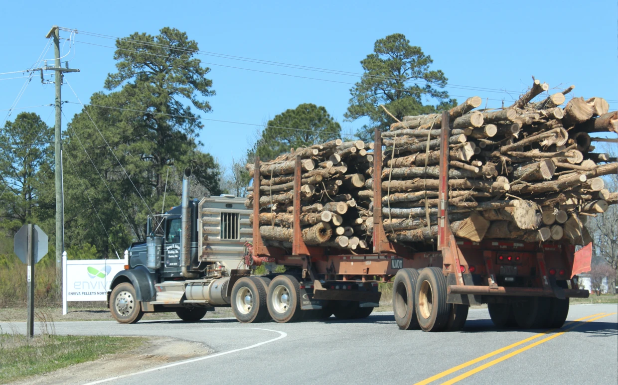 Jeden z zakładów Envivy, największego producenta pelletów na świecie, Fot. Dogwood Alliance