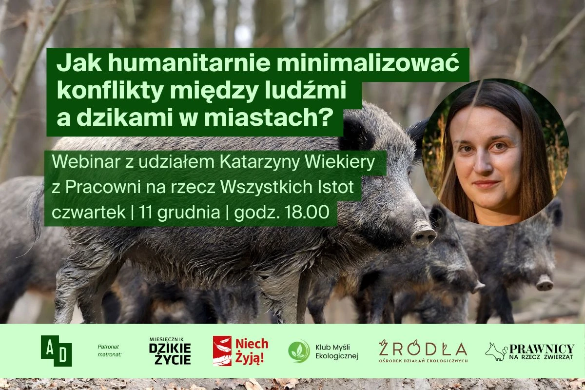 Katarzyna-Wiekiera-webinar-dziki-1200x800