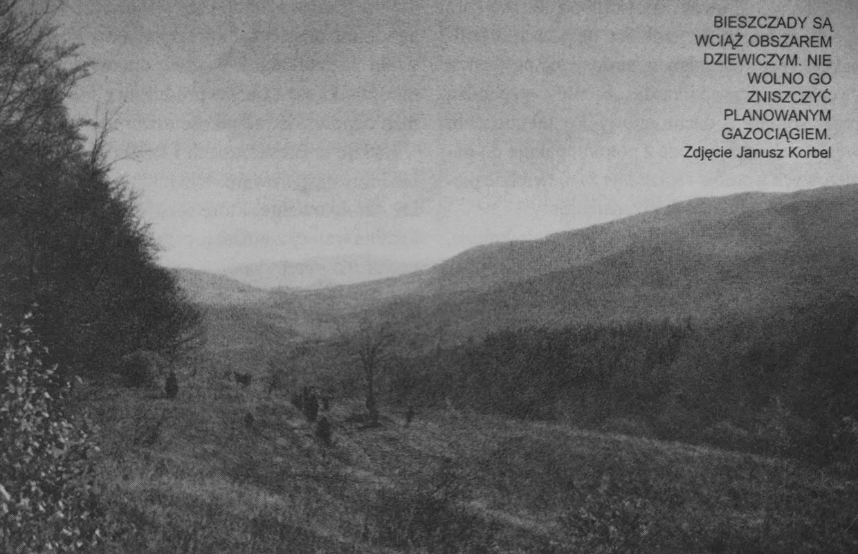 Bieszczady są wciąż obszarem dziewiczym. Nie wolno go zniszczyć planowanym gazociągiem. Fot. Janusz Korbel