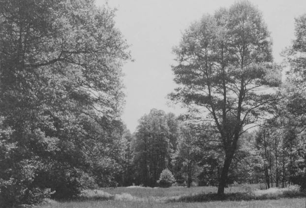 Fot. Archiwum Ogrodu Botanicznego w Mikołowie