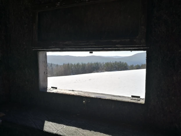 Pole rażenia – widok z ambony, Beskid Niski. Fot. Grzegorz Bożek