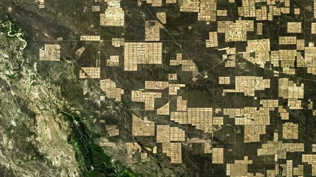 Zdjęcie satelitarne części departamentu Boqueron w paragwajskim Chaco z sierpnia 2016 r. Fot. Landsat 8, NASA