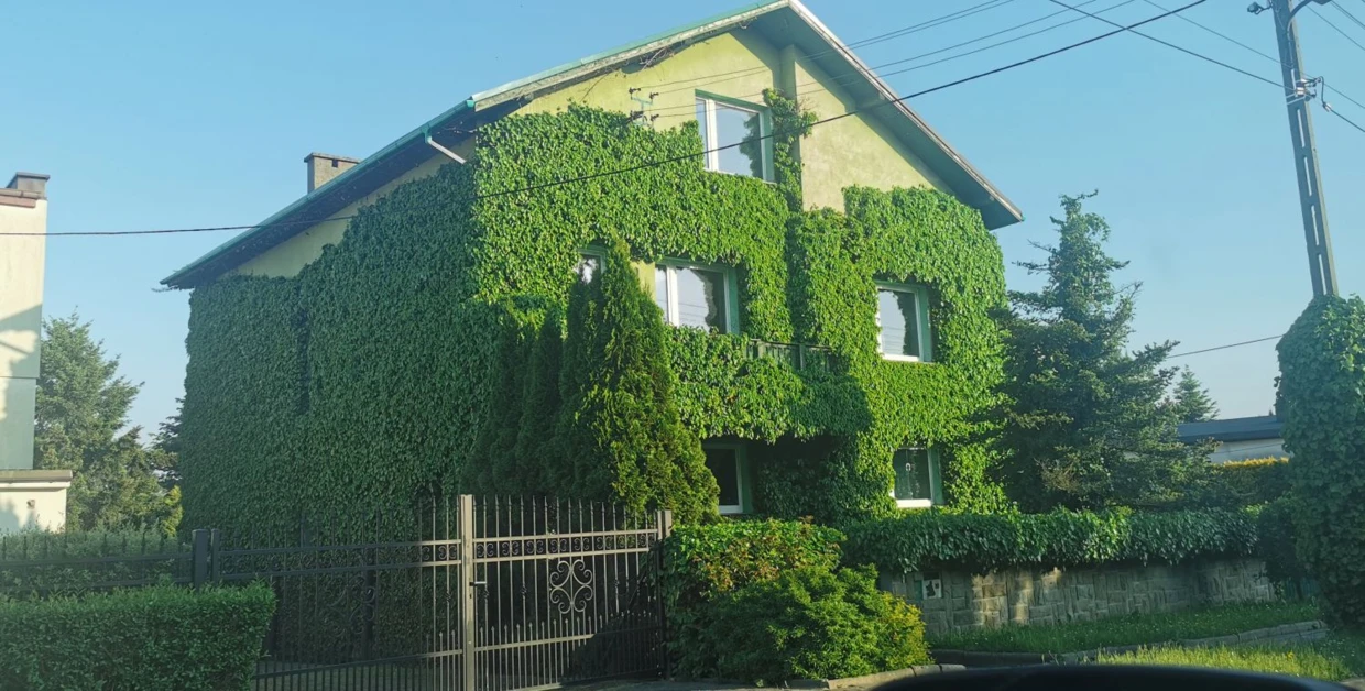 Dom wolnostojący w Raciborzu. Fot. Tomasz Koczor