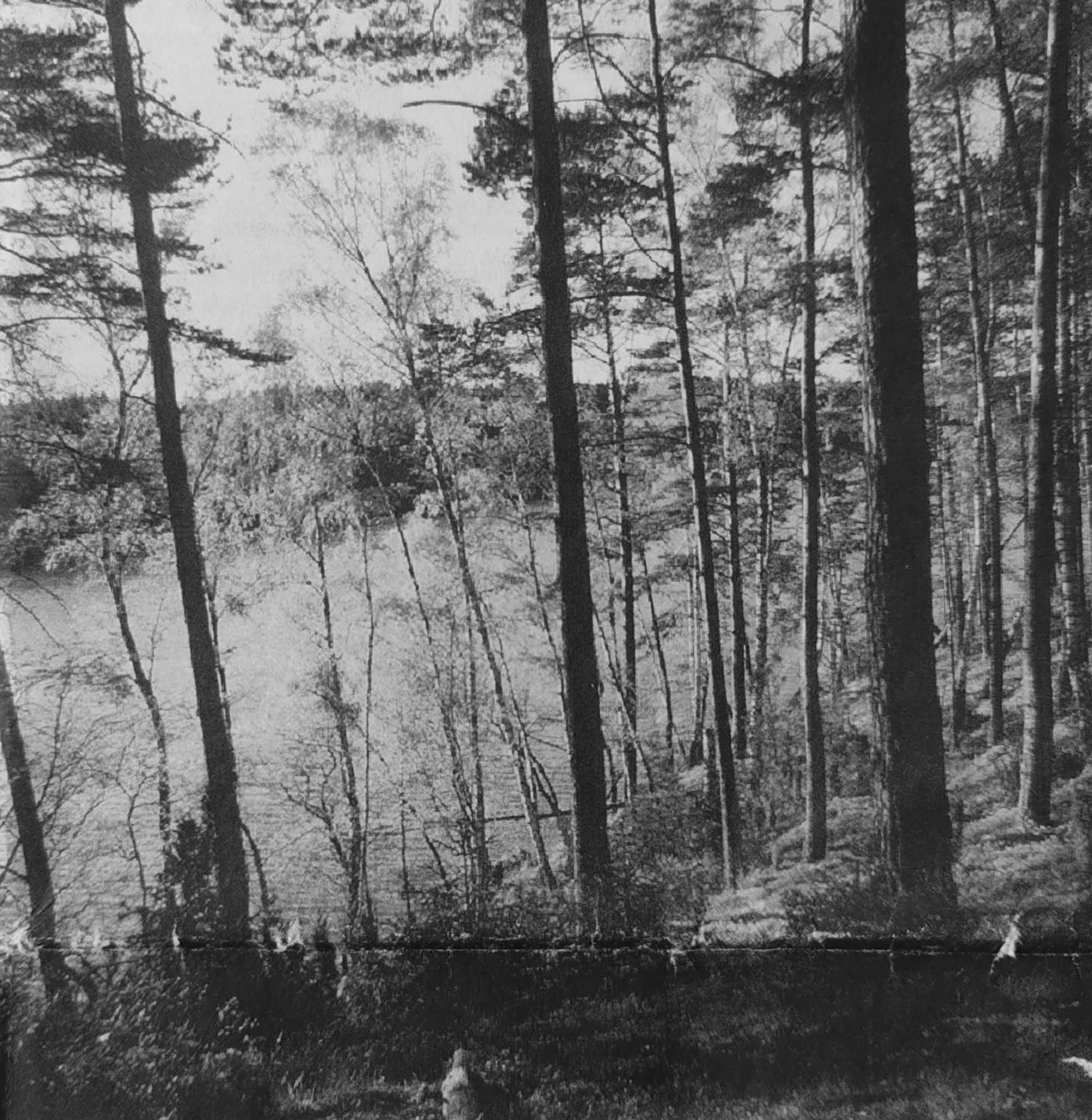 Fot. z planu ochrony DPN