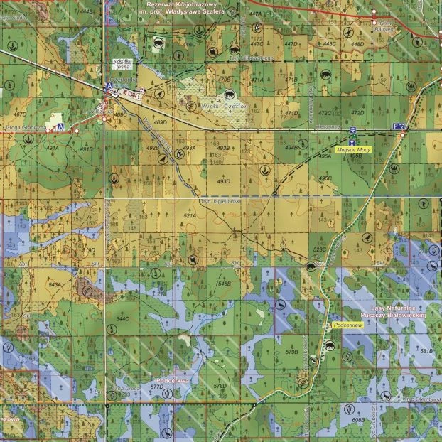 Fragment mapy Puszcza Białowieska – widać wiele szczegółów. Ta mapa jest inna niż wszystkie.