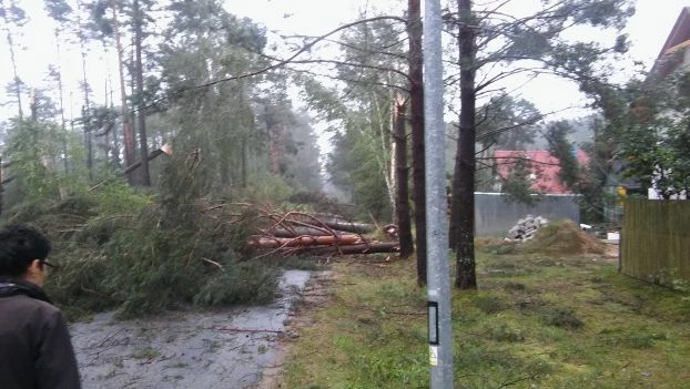 Zmiany klimatu obserwowane w Polsce to dopiero uwertura do tego co nas czeka w najbliższych latach. Fot. Piotr Skubała