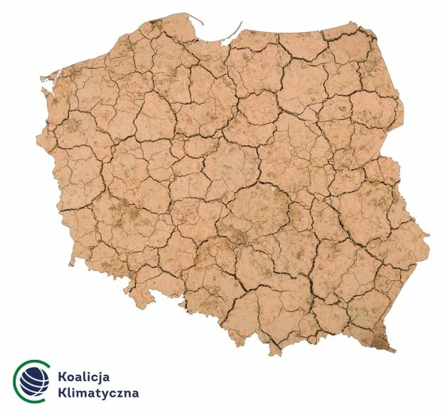 Infografika „Polska wysycha”. Źródło: Koalicja Klimatyczna
